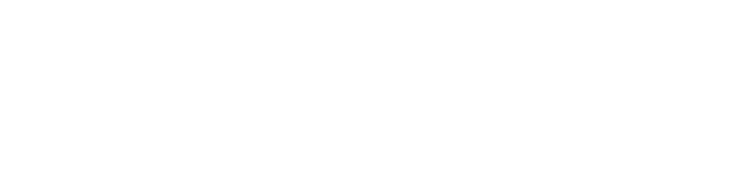 Carnegie White Logo